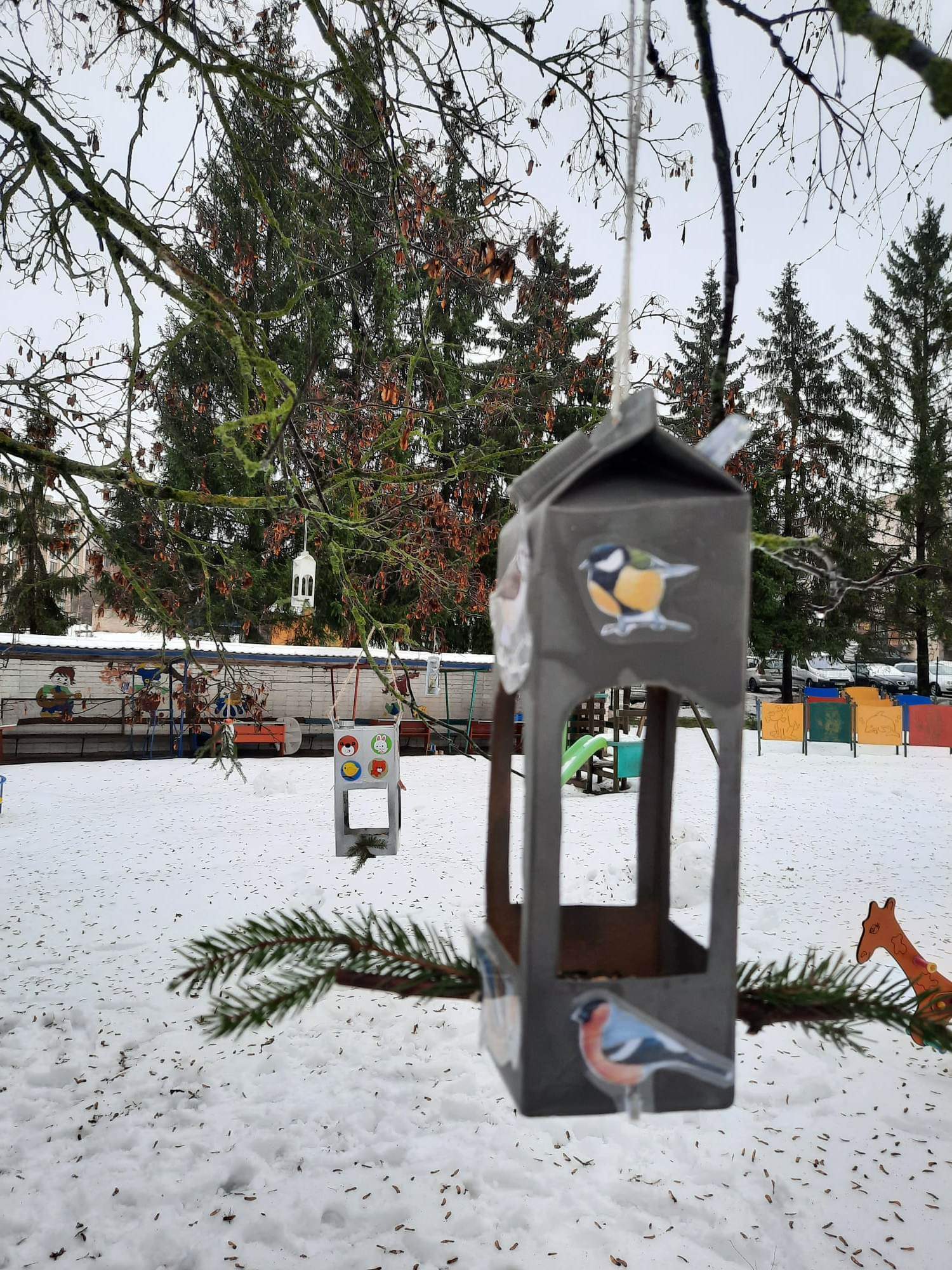 Viktorina „Lietuvoje žiemojantys paukščiai"
